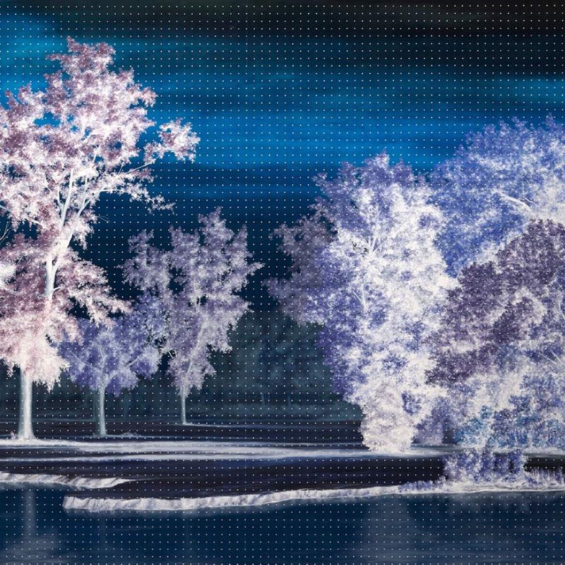 Ingrid Laubrock The Last Quiet Place
