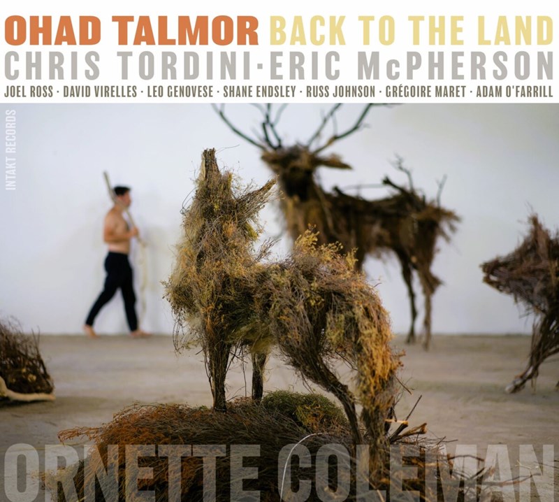 Ohad Talmor