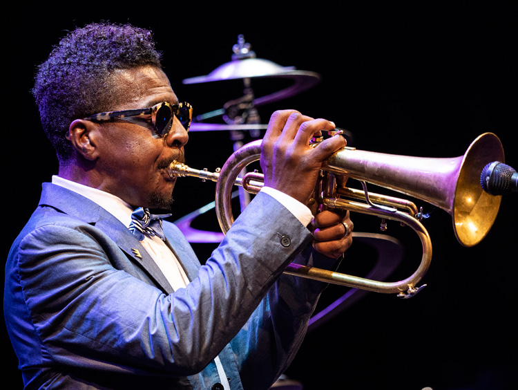 Hargrove jazz store